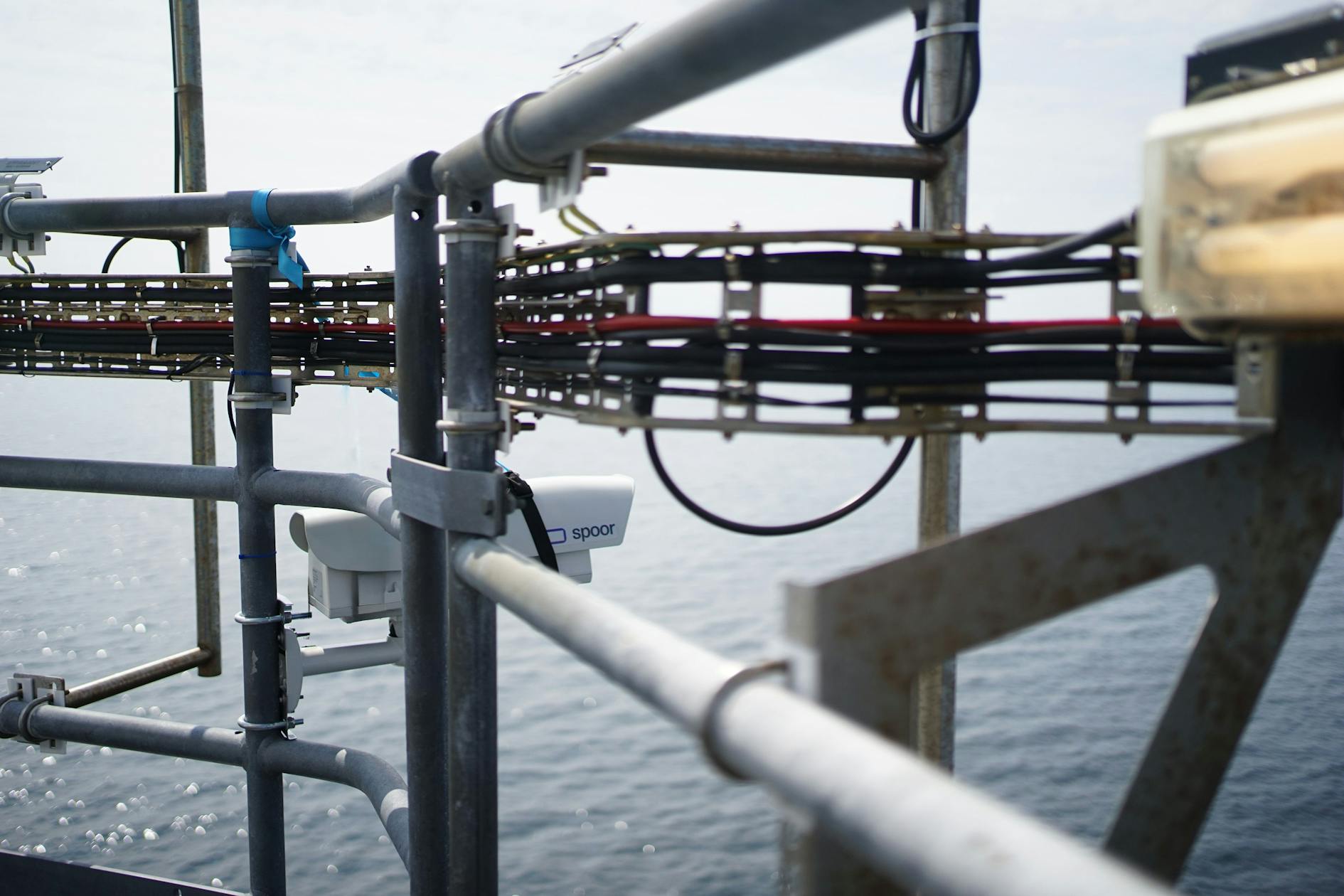 New Report No Recorded Collisions Between Floating Offshore Wind